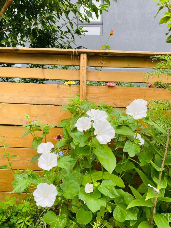 Lovely II Space Share A Room East York Canada Toronto Esterno foto