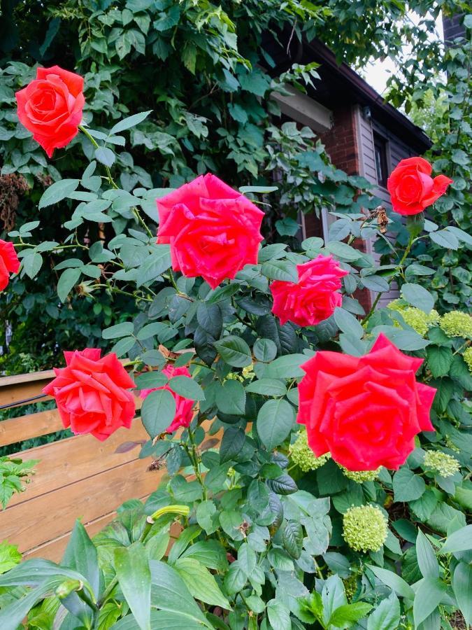 Lovely II Space Share A Room East York Canada Toronto Esterno foto