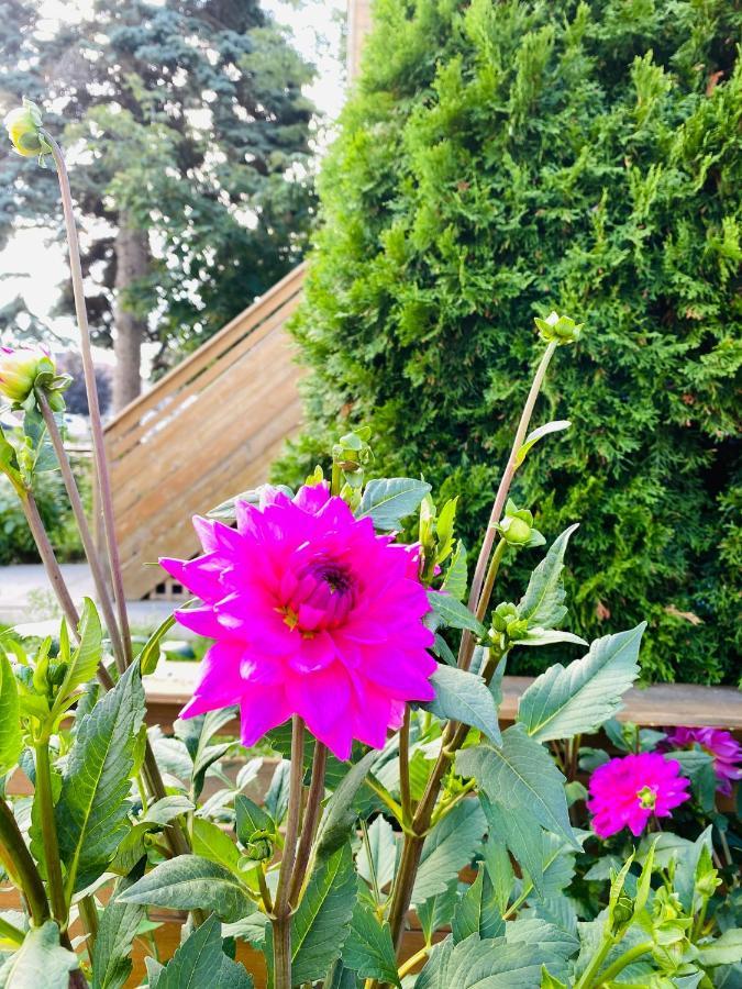 Lovely II Space Share A Room East York Canada Toronto Esterno foto